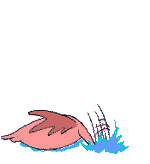 oiseaux-eau_eb-006.gif
