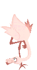 oiseaux-eau_eb-007.gif