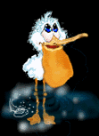 oiseaux-eau_eb-010.gif