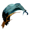 oiseaux-eau_eb-063.gif
