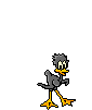 oiseaux-eau_eb-072.gif