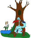 oiseaux-eau_eb-082.gif