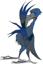 oiseaux-eau_eb-085.gif