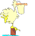 oiseaux-eau_eb-090.gif