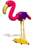 oiseaux-eau_eb-094.gif