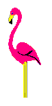oiseaux-eau_eb-095.gif