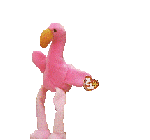 oiseaux-eau_eb-113.gif