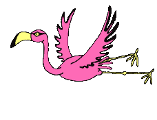 oiseaux-eau_eb-116.gif