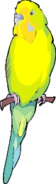 exotiques_eb-011.gif