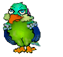 exotiques_eb-015.gif