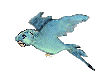 exotiques_eb-059.gif
