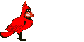 exotiques_eb-062.gif