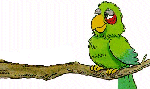 exotiques_eb-064.gif