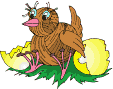 oeufs_eb-093.gif