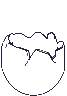 oeufs_eb-102.gif