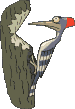 pic-vert_eb-005.gif