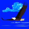 rapaces-diurnes_eb-037.gif