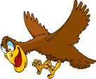 rapaces-diurnes_eb-042.gif