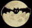 rapaces-nocturnes_eb-003.gif
