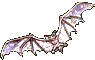 rapaces-nocturnes_eb-006.gif