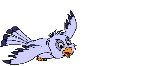 rapaces-nocturnes_eb-008.gif