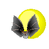 rapaces-nocturnes_eb-021.gif