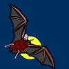 rapaces-nocturnes_eb-026.gif