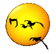 rapaces-nocturnes_eb-033.gif
