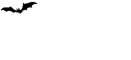 rapaces-nocturnes_eb-041.gif