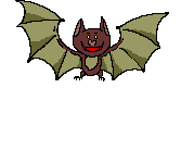 rapaces-nocturnes_eb-047.gif