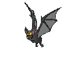 rapaces-nocturnes_eb-052.gif