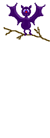 rapaces-nocturnes_eb-063.gif