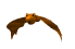 rapaces-nocturnes_eb-064.gif