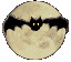 rapaces-nocturnes_eb-070.gif