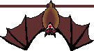 rapaces-nocturnes_eb-071.gif