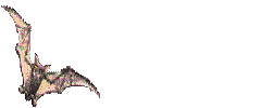 rapaces-nocturnes_eb-075.gif