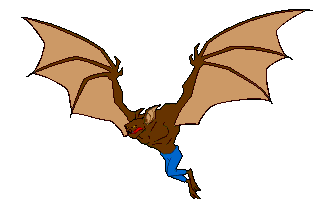 rapaces-nocturnes_eb-082.gif