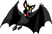 rapaces-nocturnes_eb-089.gif