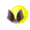 rapaces-nocturnes_eb-091.gif