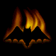 rapaces-nocturnes_eb-092.gif