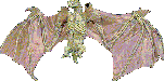 rapaces-nocturnes_eb-103.gif
