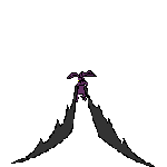 rapaces-nocturnes_eb-111.gif
