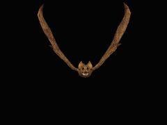 rapaces-nocturnes_eb-115.gif