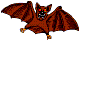 rapaces-nocturnes_eb-118.gif