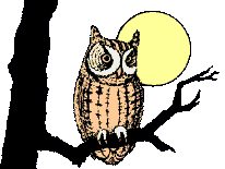 rapaces-nocturnes_eb-125.gif