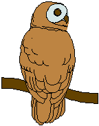rapaces-nocturnes_eb-127.gif