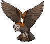rapaces-nocturnes_eb-131.gif