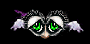 rapaces-nocturnes_eb-166.gif