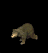 ours_eb-065.gif