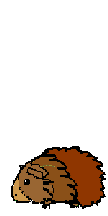 hamster_eb-052.gif